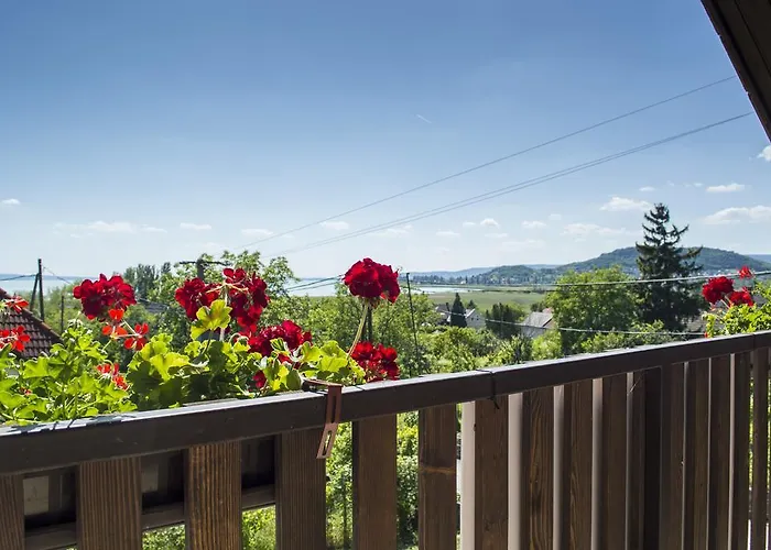 Bed & Breakfast Berkes Vendeghaz 3*